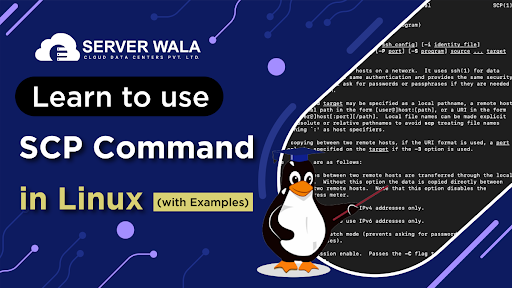 Learn to use SCP Command in Linux
