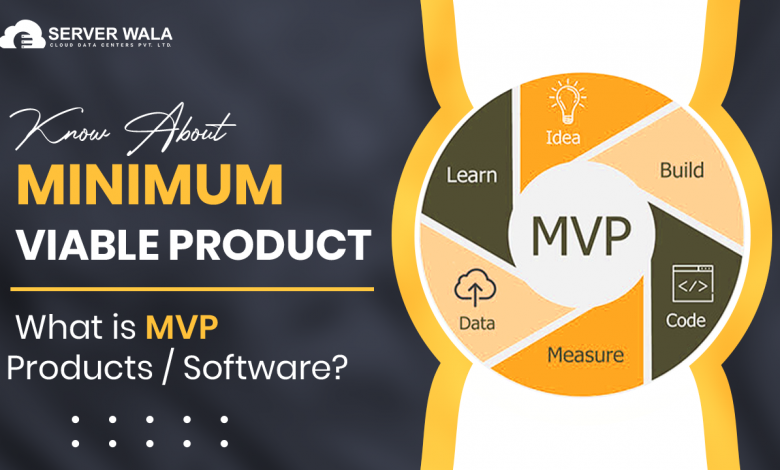 Minimum Viable Product - What is MVP Products/Software?