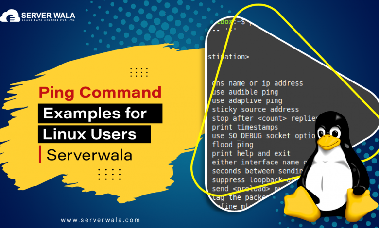 Ping Command Examples for Linux Users