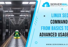 Linux sed Command: From Basics to Advanced Usage
