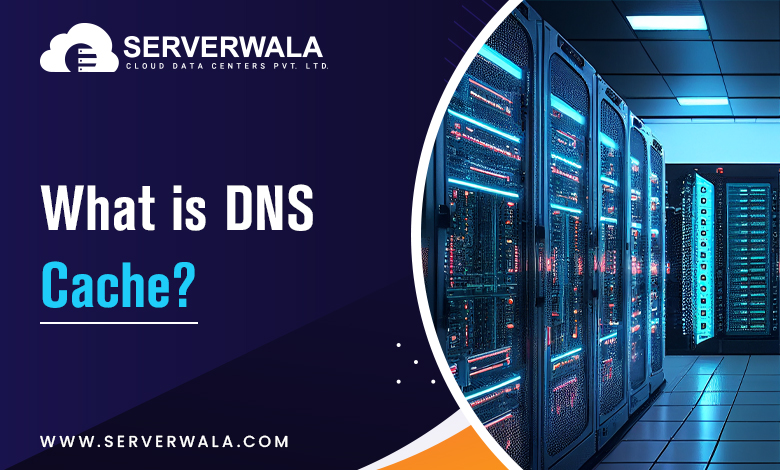 What is DNS Cache?