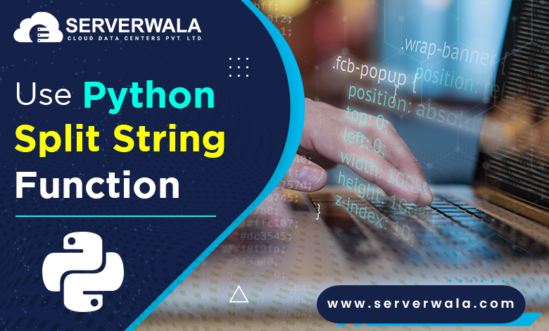 Use Python split string Function