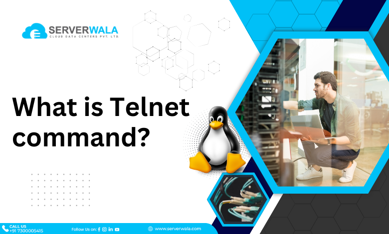 What is Telnet Command?
