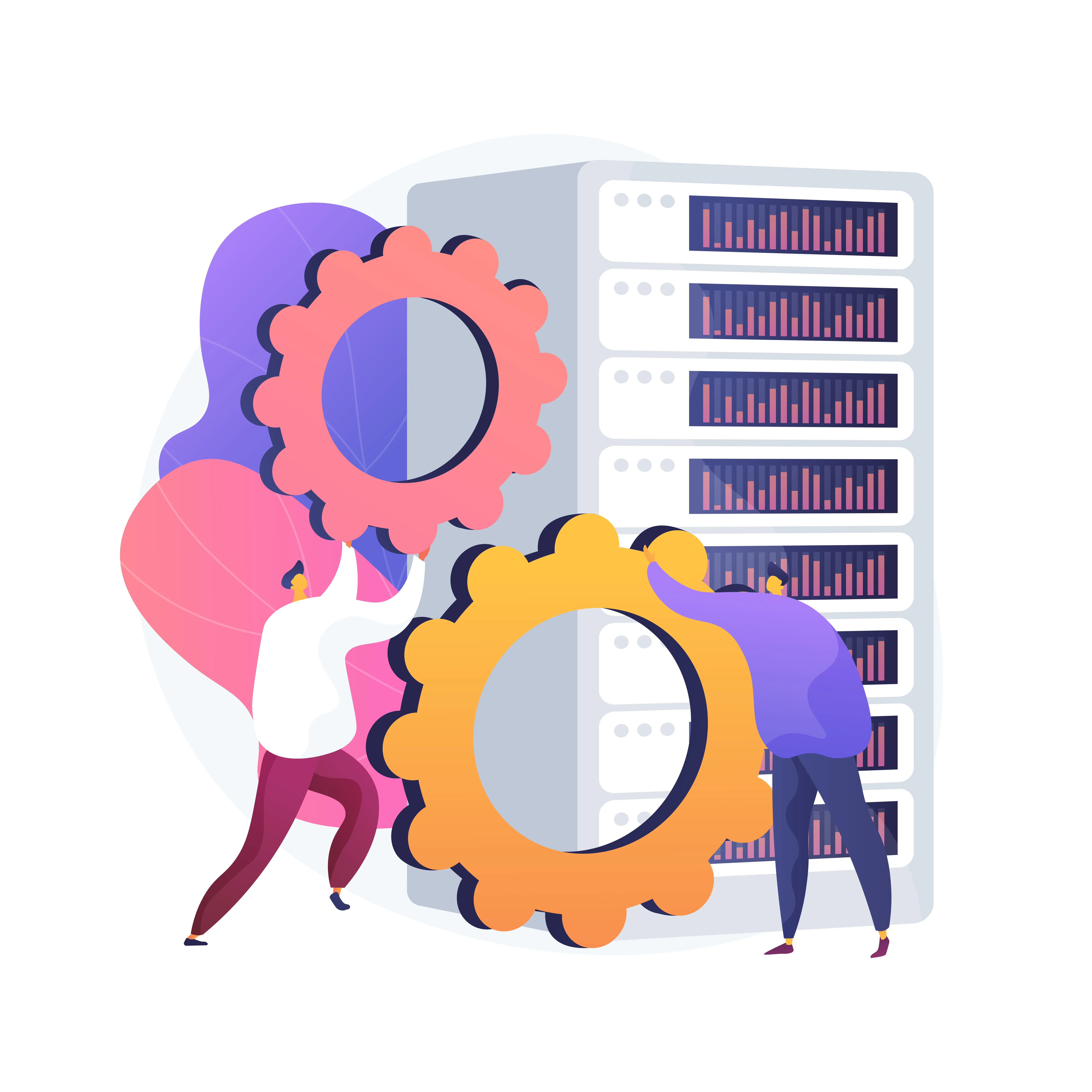 High Bandwidth Server