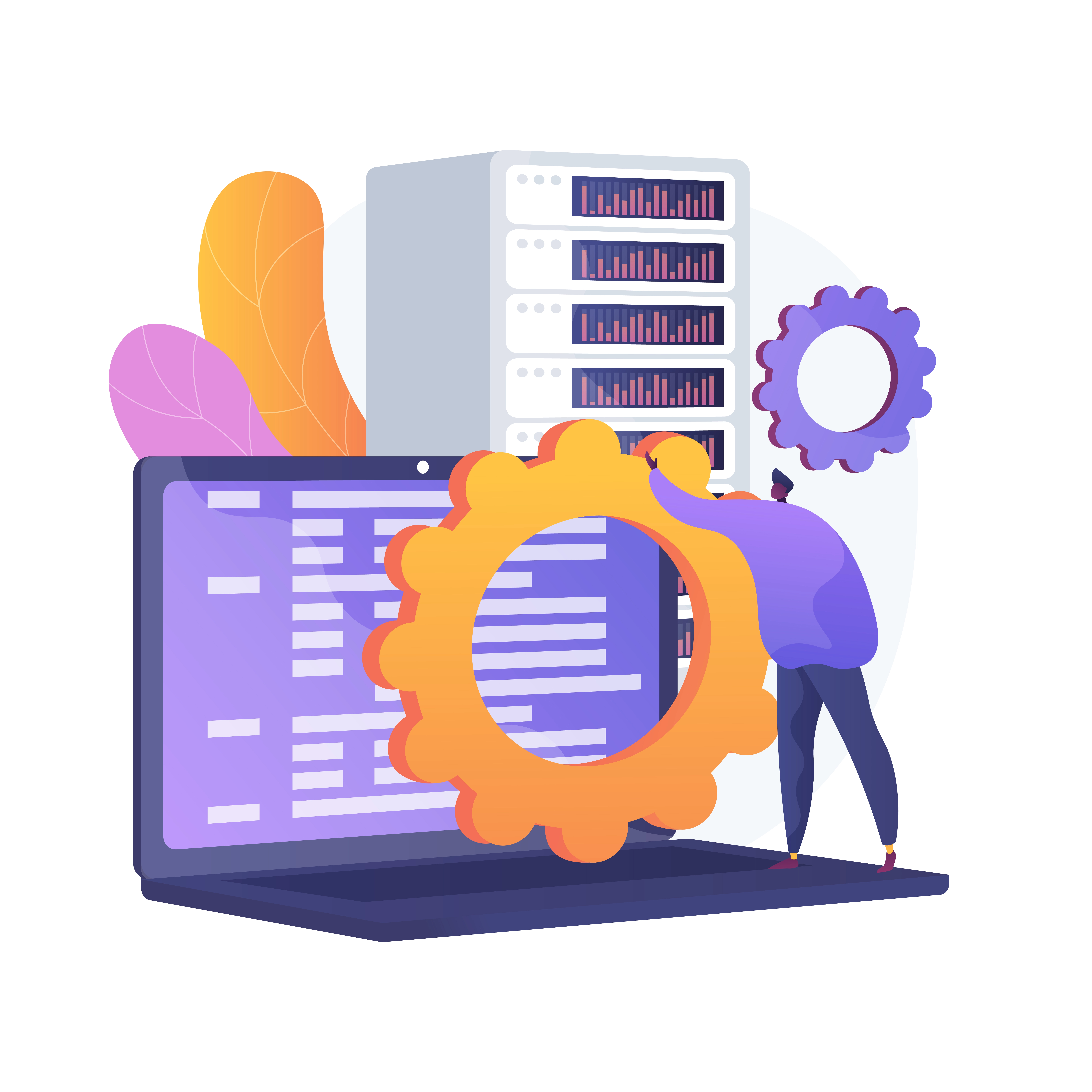 24/7 Monitoring by Serverwala